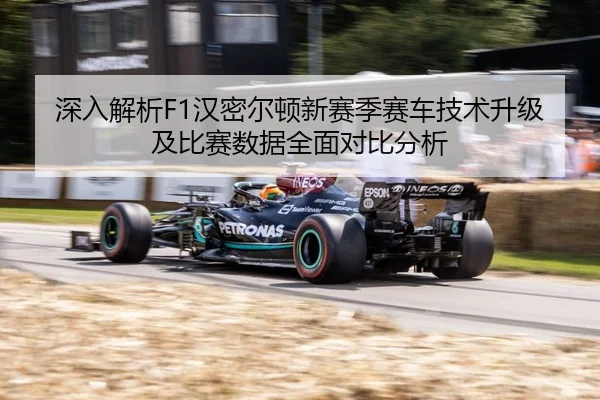 深入解析F1汉密尔顿新赛季赛车技术升级及比赛数据全面对比分析
