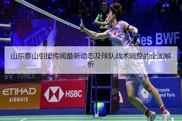 山东泰山引援传闻最新动态及球队战术调整的全面解析
